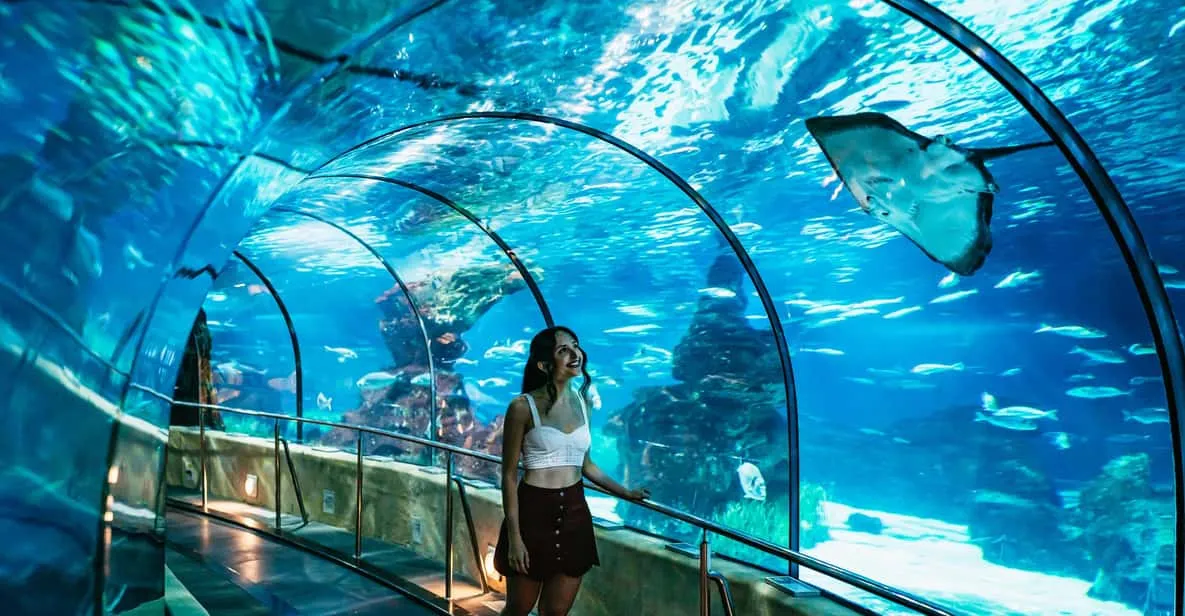 Shark glass tunnel at Barcelona Aquarium in Port Vell, a family attraction in Barcelona, Spain