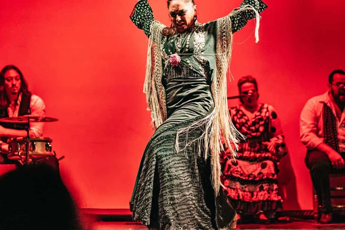 Live flamenco performance, a cultural evening alongside the museums in Barcelona, Spain